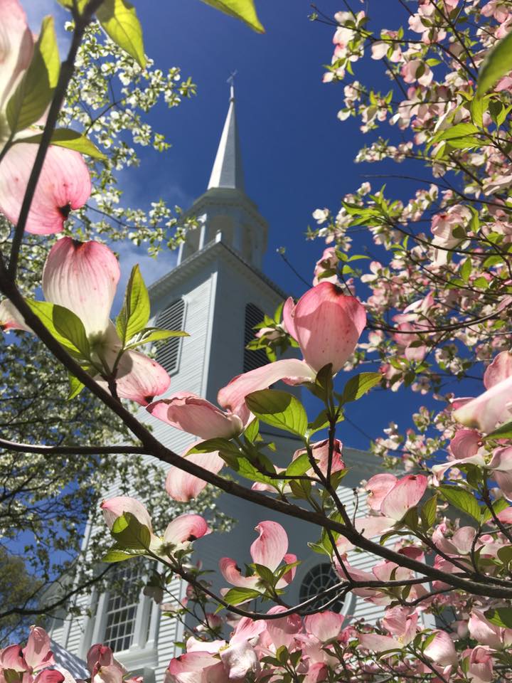 85th Annual Dogwood Festival Visit CT